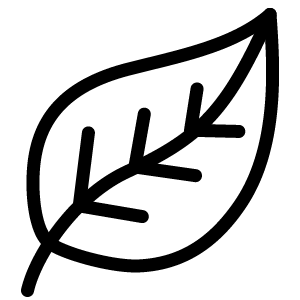 Materials Icon