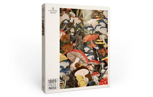 1000 Piece Puzzles